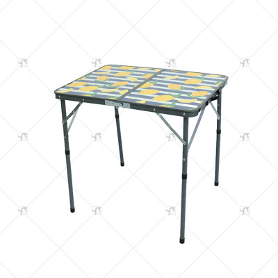 High Quality Portable Lron Frame Foldable Garden and Kitchen Furniture Fancy Blossom Design for Outdoor Camping and Picnic Table