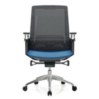 Y&F Middle Back Mesh Executive Chair with aluminum base and  aluminum armrest(YF-B33)