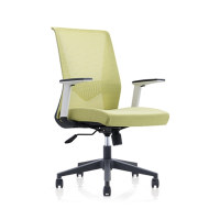 Mid Back Mesh Office Swivel Chair with PP Armrest and Nylon Base (YF-6630B-118)