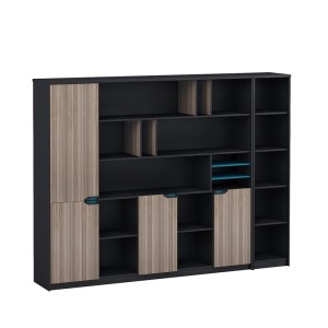Wholesale modern office file cabinet(LT-06B2018)