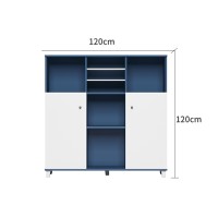 Wholesale Modern Simple Design File Cabinet With Door (MS-51Z1212)