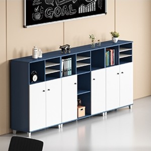 Wholesale Modern Simple Design File Cabinet With Door (MS-51Z1212)