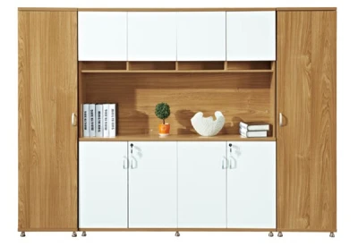 Wholesale Modern Simple Design File Cabinet (DY-C61)
