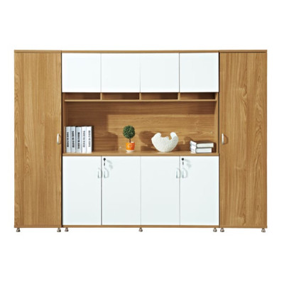 Wholesale Modern Simple Design File Cabinet (DY-C61)
