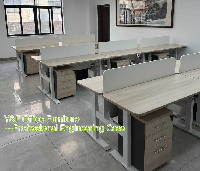 Y&F Office Furniture Company and Philippine company of Cooperation project