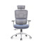 Executive High Back Mesh Chair with Adjustable Headrest - BIFMA Certified for Office Projects