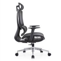 Luxury Executive Office Chair - Breathable High Back Mesh with Adjustable Lumbar For Office Use