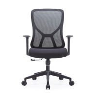 Ergonomic Mesh Task Chair with Lumbar Support - Commercial Grade for Workstations