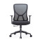 Ergonomic Mesh Task Chair with Lumbar Support - Commercial Grade for Workstations