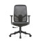 Mesh Back Task Chair with Height Adjustable Armrest - For Workstation Desks