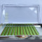 China factory green eyelashes extension colour professional private label with packaging box