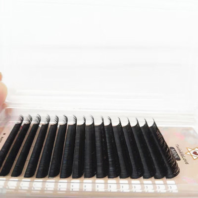 Factory supplied  Volume eyelashes Private Label Eyelash Extensions