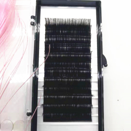 China supplier Wholesale Best price Prime Silk  Eyelash Extensions