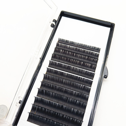 China best Individual mink lashes D curl 0.15 eyelash extensions