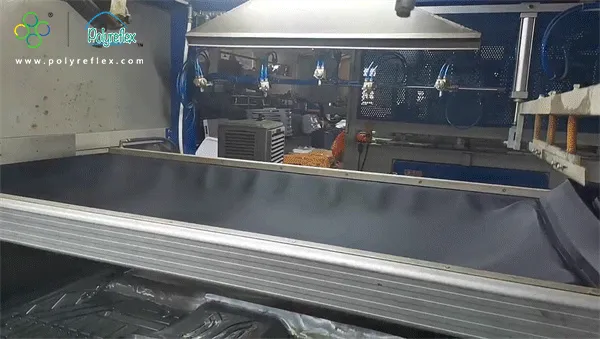 TPO Floor Mat Forming