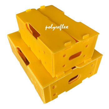 Plastic Box & Divider