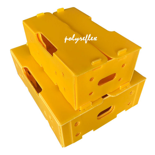 Plastic Box & Divider