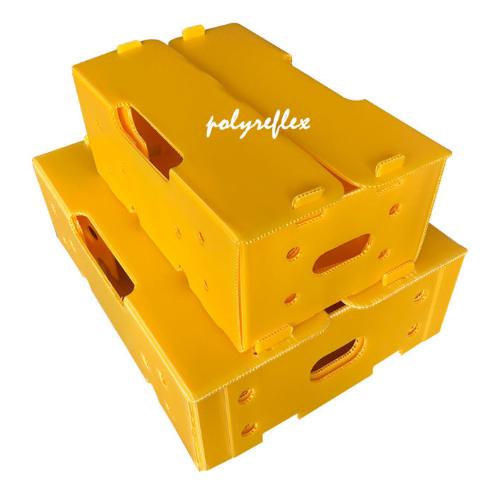 What Are The Advantages Of Plastic Boxes / Popypropylene Corrugated Boxes?