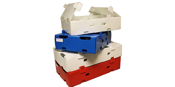 plastic boxes and foam dividers