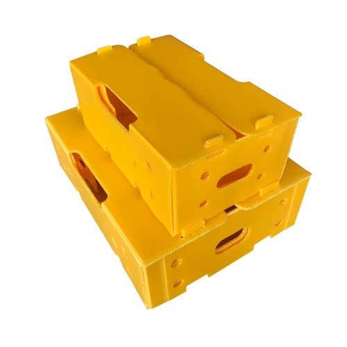 Durable Lightweight Waterproof PP Corrugated Box for Agriculture and Food
