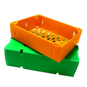 Durable Lightweight Waterproof PP Corrugated Box for Agriculture and Food