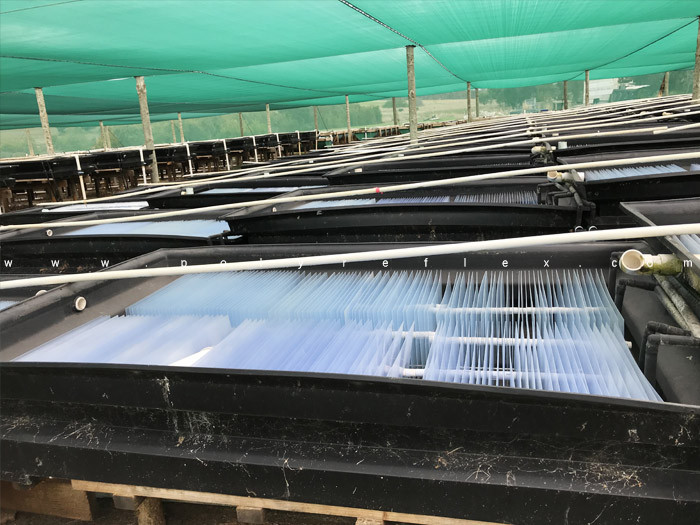 HDPE Sheets for Fish Farming