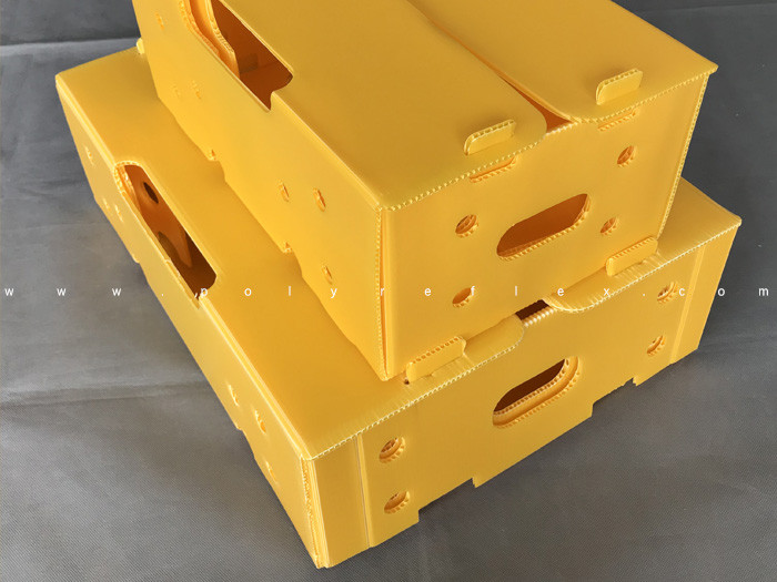 Ventilated PP Corrugated Boxes