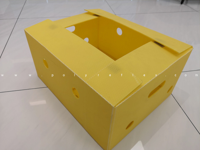 Polyreflex PP Corrugated Box