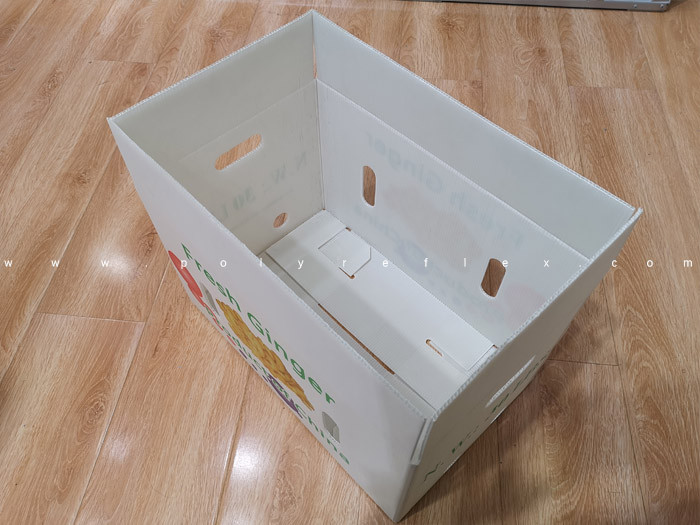 PP Corrugated Box