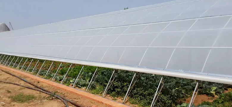 PE Corrugated Greenhouse Roofs