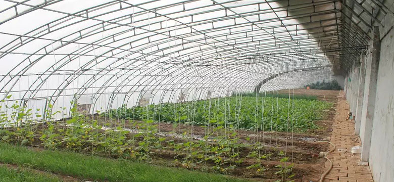 PE Corrugated Greenhouse Roofs