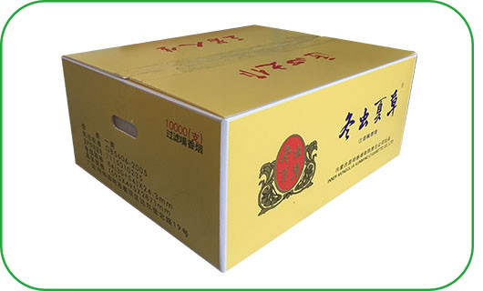 Printed plastic box