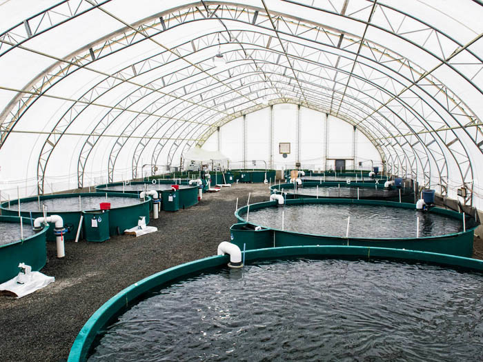 Aquaculture HDPE Ponds