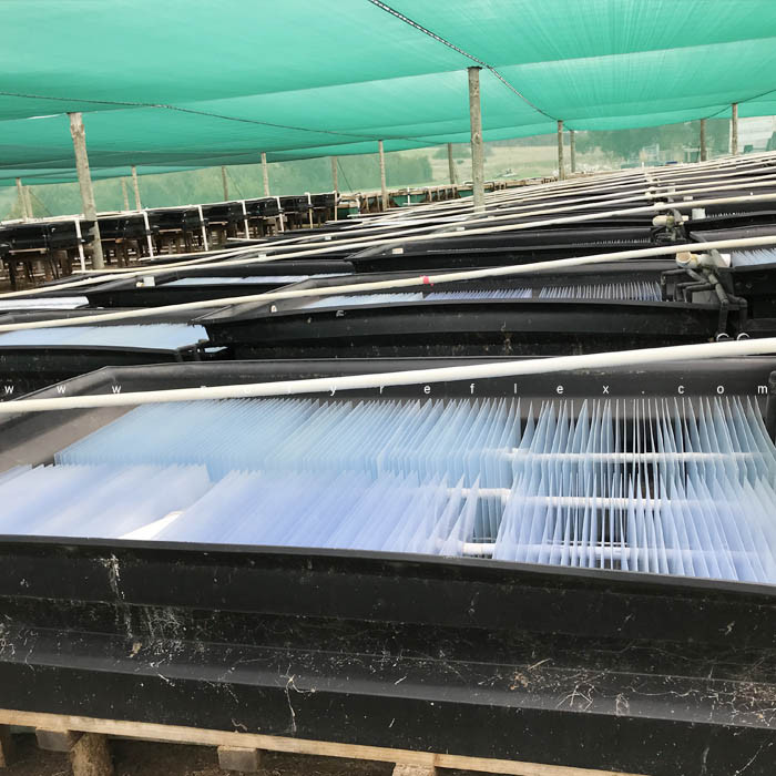 Aquaculture HDPE Ponds