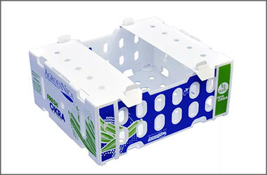 corrugated plastic box for fruit and vegetable