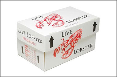 corrugated plastic box for seafood