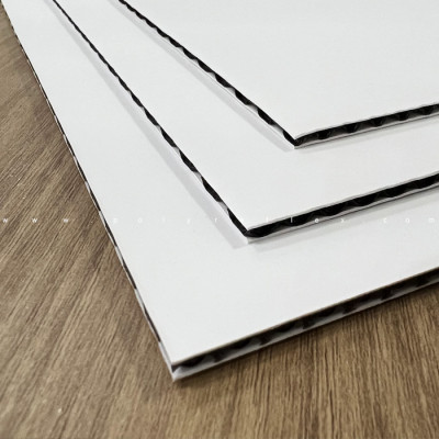 Upgrade Your Printing Board: Discover Our Matte PP Honeycomb Sheets