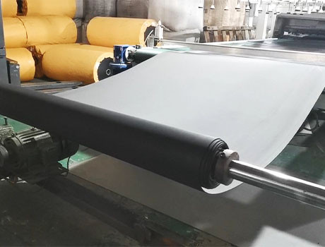 TPO/TPE sheets production