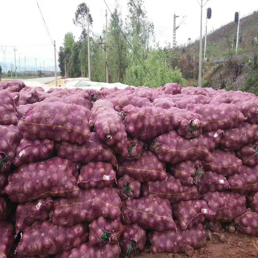 Custom Size PP PE Drawstring Vegetable Packing Onions Leno Mesh Bags