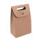Vertical Promotional paper bag Shopping bags with hole handle