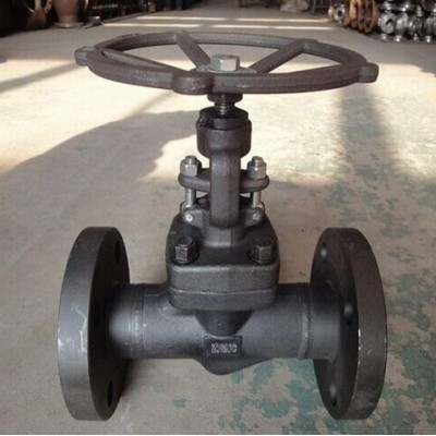 Forged Steel Globe Valve