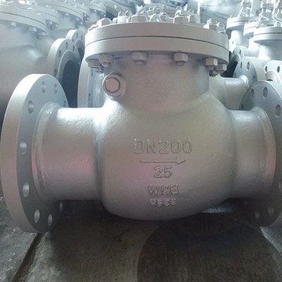 Cast Steel Check Valve