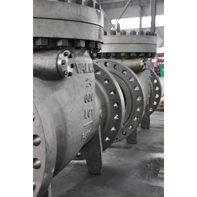 Tilting Check Valve
