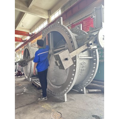 Butterfly Type check valve