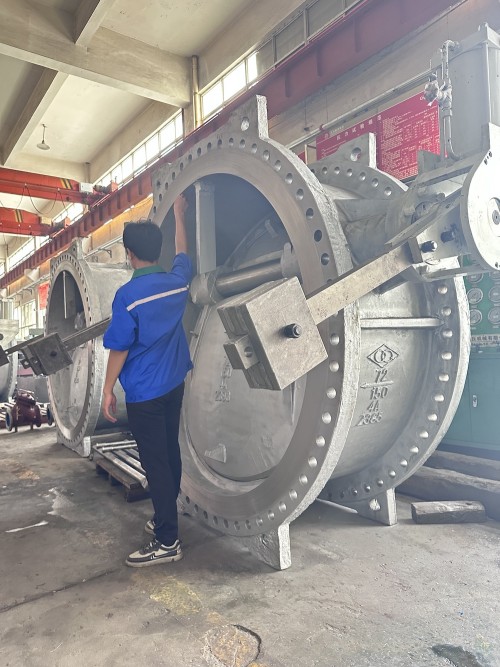 Butterfly Type check valve