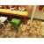 French pattern 200X200  carpet tiles
