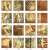 French pattern 200X200  carpet tiles