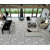 Low Price Colorful Flower Pattern 300x300 Wall Ceramic Tiles