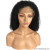 New Arrival Best Quality Brazilian Virgin Human Hair Kinky Curly Lace Front Wigs
