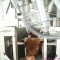 Living Cattle Pneumatically Gun For Abattoir Plant